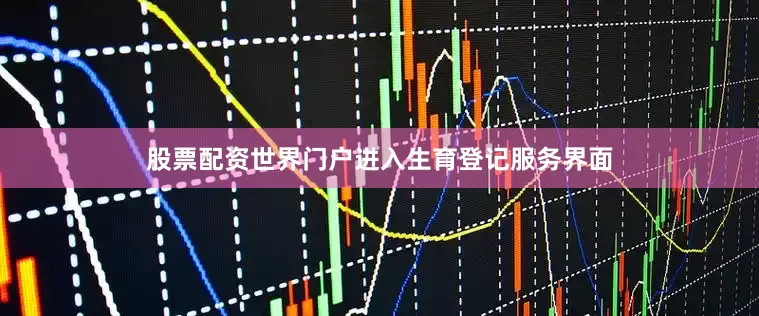 股票配资世界门户进入生育登记服务界面