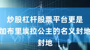 炒股杠杆股票平台更是加布里埃拉公主的名义封地