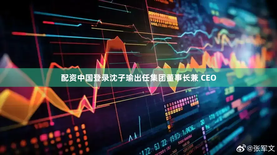 配资中国登录沈子瑜出任集团董事长兼 CEO